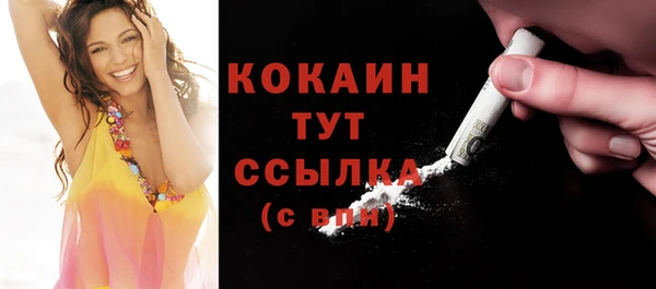 индика Вязьма