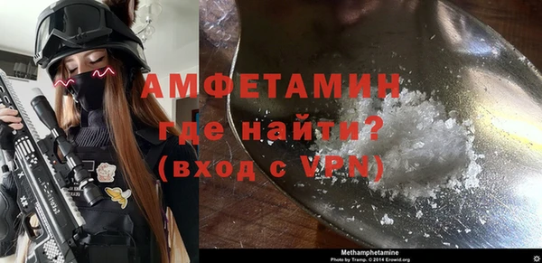 индика Вязьма
