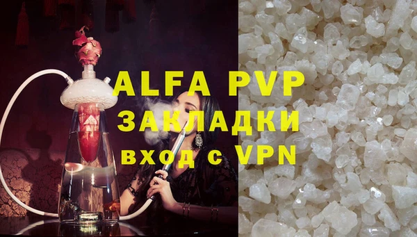 индика Вязьма