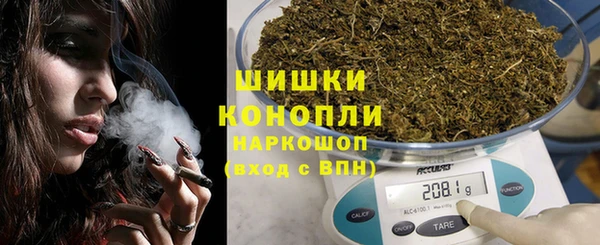 индика Вязьма