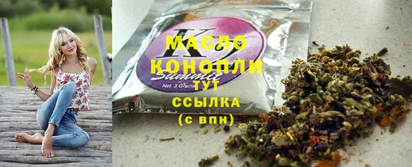 индика Вязьма