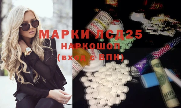 индика Вязьма