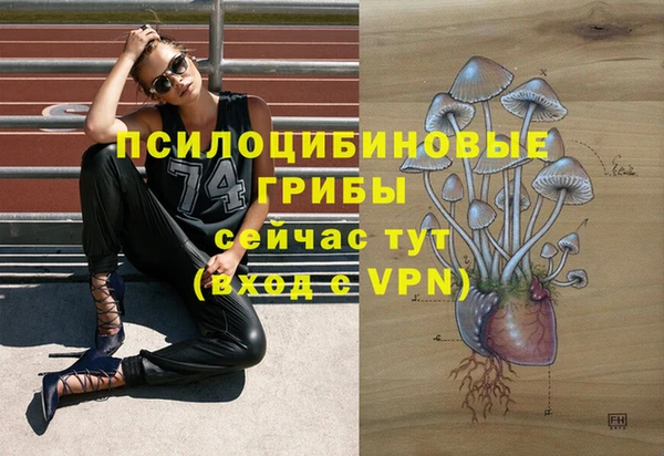 эйфоретик Вязники