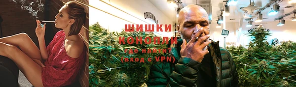 индика Вязьма