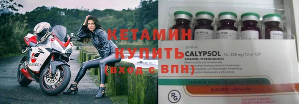 индика Вязьма