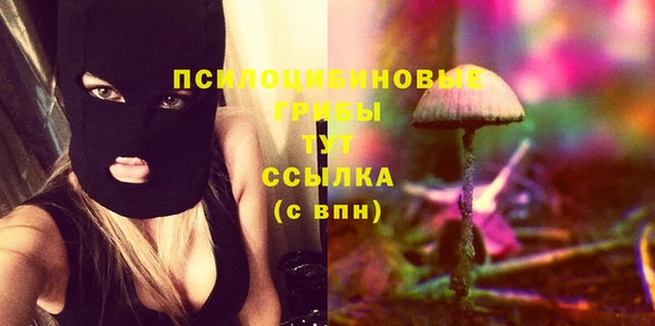 индика Вязьма